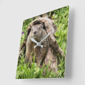 Grondhog in een Hollow Log Vierkante Klok (Hoek)