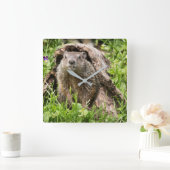 Grondhog in een Hollow Log Vierkante Klok (Huis)