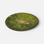 Grondhog in een veld bord (Gekanteld)