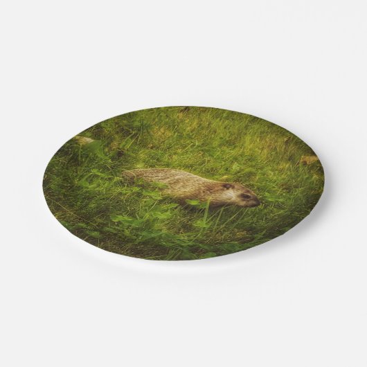 Grondhog in een veld bord (Gekanteld)