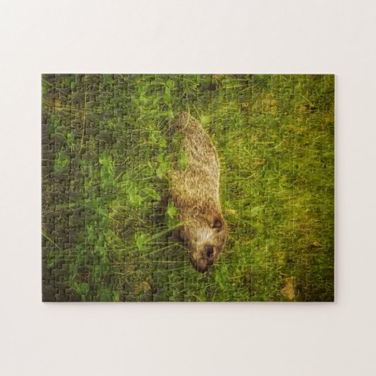 Grondhog in een veld legpuzzel (Horizontaal)