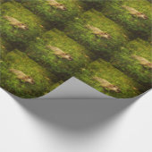 Grondhog in een veld voor het verpakken van papier (Hoek)