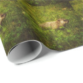 Grondhog in een veld voor het verpakken van papier (Rol Hoek)