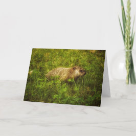 Grondhog in een veld wenskaart kaart