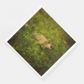 Grondhog in een veldservet servet (Hoek)