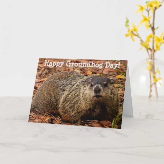 Grondhog Kaart (Gele Bloem)