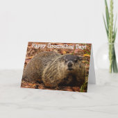 Grondhog Kaart (Voorkant)