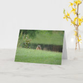 Grondhog Kaart (Gele Bloem)