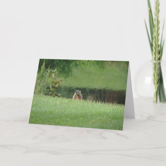 Grondhog Kaart (Voorkant)