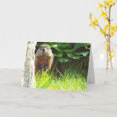 Grondhog Kaart (Gele Bloem)
