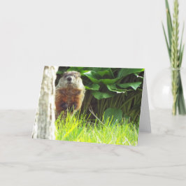 Grondhog Kaart