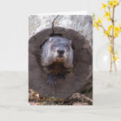 Grondhog Kaart (Gele Bloem)
