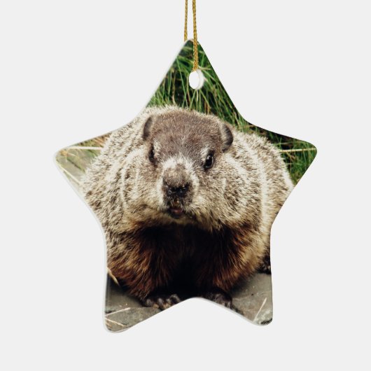 Grondhog Keramisch Ornament (Rechts)