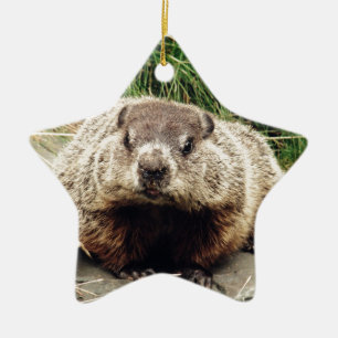 Grondhog Keramisch Ornament