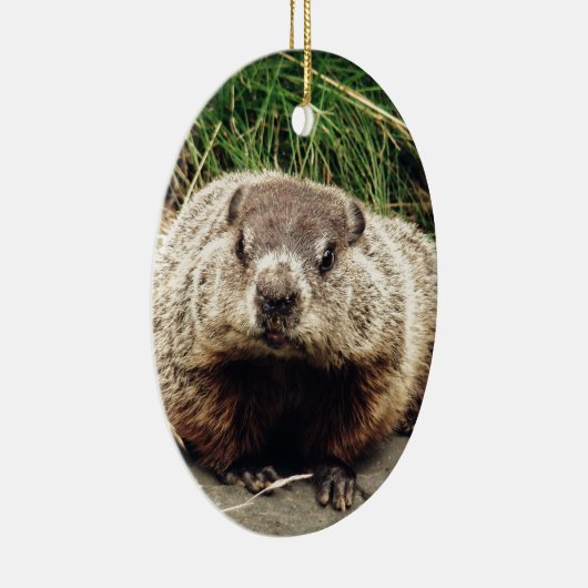 Grondhog Keramisch Ornament (Rechts)