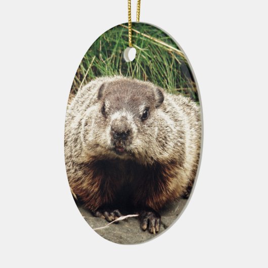 Grondhog Keramisch Ornament (Links)