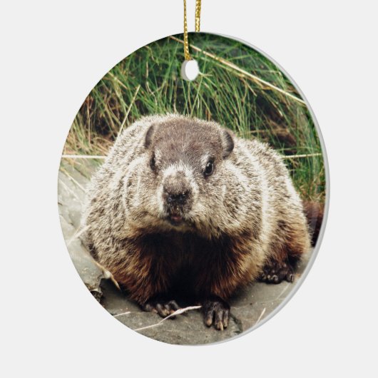 Grondhog Keramisch Ornament (Links)