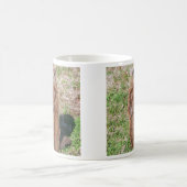 Grondhog Koffiemok (Center)