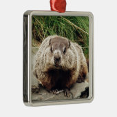 Grondhog Metalen Ornament (Rechts)