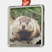 Grondhog Metalen Ornament (Links)