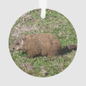 Grondhog Ornament (achterkant)