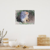 Grondhog Poster (Keuken)