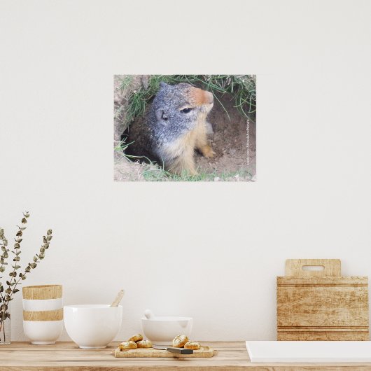 Grondhog Poster (Keuken)