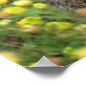 Grondhog Poster (Hoek)