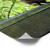 Grondhog Poster (Hoek)