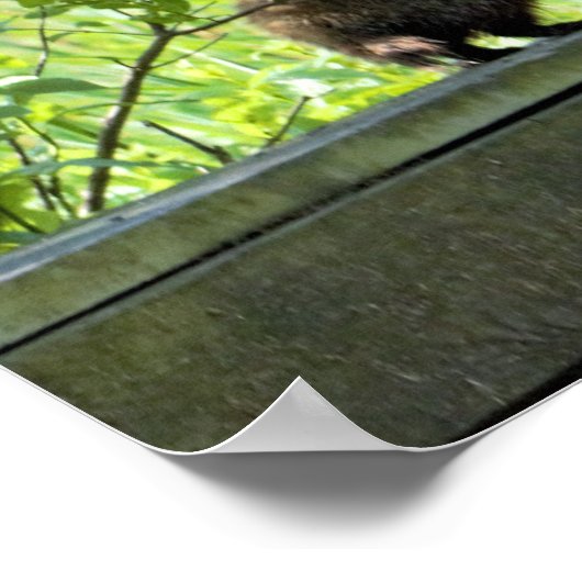 Grondhog Poster (Hoek)