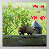 Grondhog Poster (Voorkant)