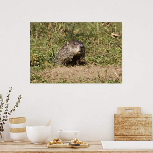 Grondhog Poster (Keuken)