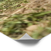 Grondhog Poster (Hoek)