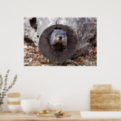 Grondhog Poster (Keuken)