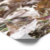 Grondhog Poster (Hoek)