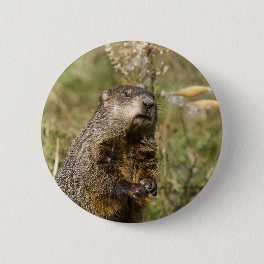Grondhog Ronde Button 5,7 Cm (Voorkant)