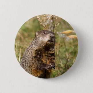 Grondhog Ronde Button 5,7 Cm