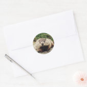 Grondhog Ronde Sticker (Envelop)