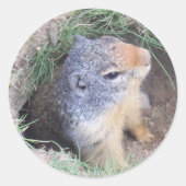 Grondhog Ronde Sticker (Voorkant)