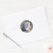 Grondhog Ronde Sticker (Envelop)