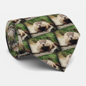 Grondhog Stropdas (Opgerold)