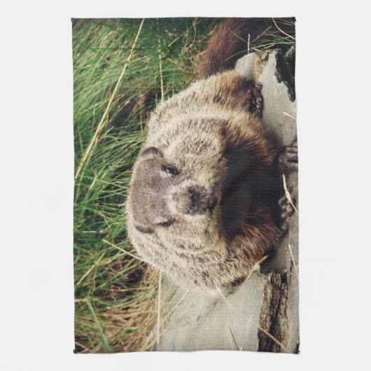 Grondhog Theedoek (Verticaal)