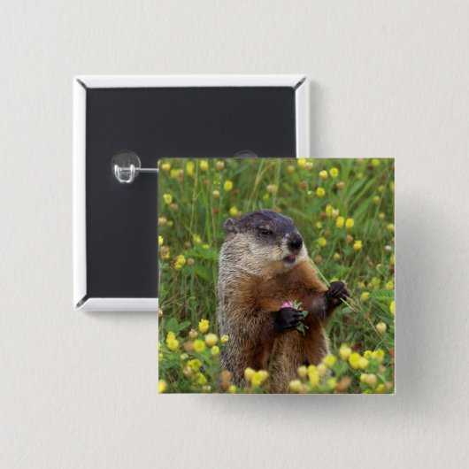 Grondhog Vierkante Button 5,1 Cm (Voorkant /achterkant)