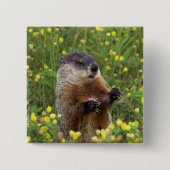 Grondhog Vierkante Button 5,1 Cm (Voorkant)