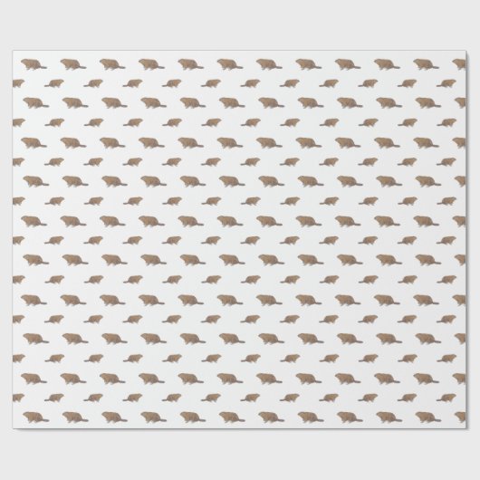 Grondhogs-wrapppapier Cadeaupapier (Vlak)