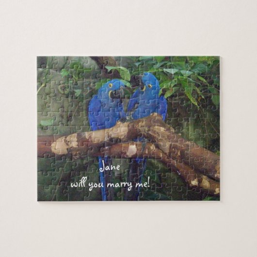 Grondig voorstel Puzzle Legpuzzel (Horizontaal)