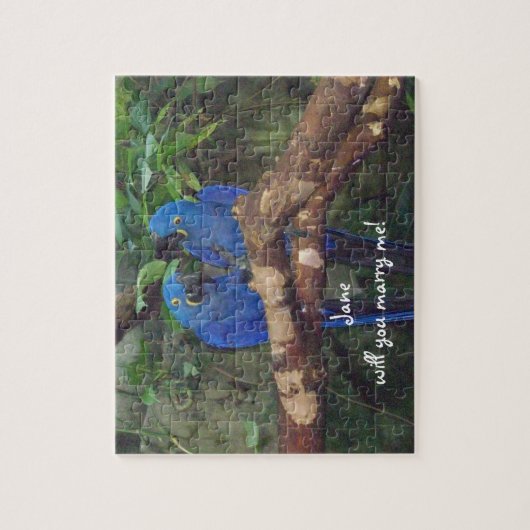 Grondig voorstel Puzzle Legpuzzel (Verticaal)