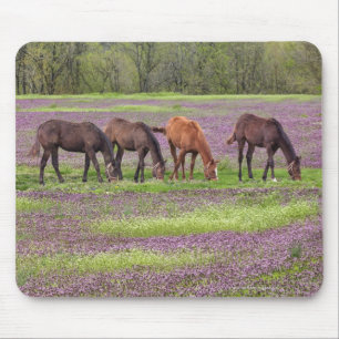 Grondige paarden in het hennepraakveld muismat