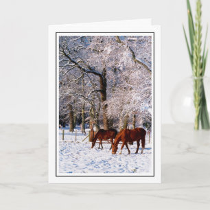 Grondige paarden in sneeuw feestdagen kaart