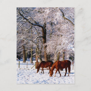 Grondige paarden in sneeuw feestdagenkaart